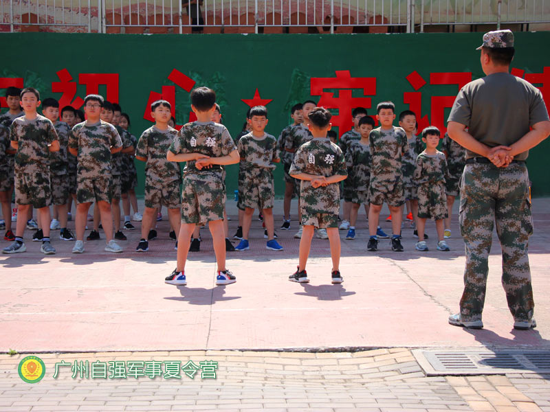 升学指导风向标：解读当下教育趋势